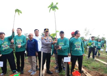 Kapolda Lampung Tanam Pohon Bareng Menteri PKP, REI Targetkan 1 Juta Pohon di Lampung