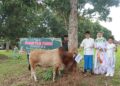 Polres Lampung Timur Gelar Penyembelihan Hewan Kurban, 7 Sapi dan 4 Kambing Disalurkan ke Masyarakat