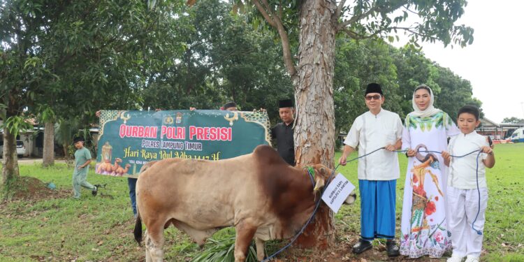 Polres Lampung Timur Gelar Penyembelihan Hewan Kurban, 7 Sapi dan 4 Kambing Disalurkan ke Masyarakat
