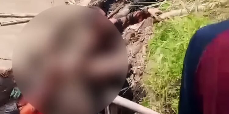 Tim SAR Gabungan Temukan Nahkoda Hilang di Perairan Mesuji