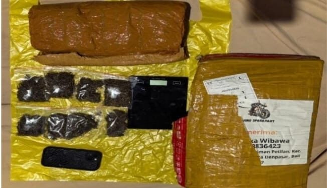 Polda Lampung Berhasil Bongkar Jaringan Narkoba Medan–Bali, 6 Kilogram Ganja Digagalkan