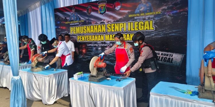 Satuan Brimob Polda Lampung Amankan Pemusnahan Ratusan Senjata Api Rakitan dan Amunisi Serahan Masyarakat