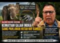 Alzier Dianis Geram, Kematian Gajah Indra Sang Pahlawan Hutan Way Kambas