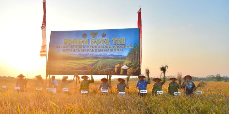 TNI Buktikan Komitmen Perkuat Ketahanan Pangan, Danrem 043/Gatam Hadiri Panen Raya Nasional Bersama Presiden RI