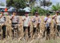 Panen Raya Jagung, Polres Lampung Barat Perkuat Sinergi Dukung Ketahanan Pangan Nasional