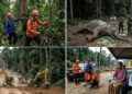 Rentetan Tragedi Proyek Pagar Way Kambas: Dari Gajah Mati, Warga Hilang, Hingga Dugaan Penyelewengan Solar Subsidi  ‎