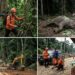 Rentetan Tragedi Proyek Pagar Way Kambas: Dari Gajah Mati, Warga Hilang, Hingga Dugaan Penyelewengan Solar Subsidi  ‎