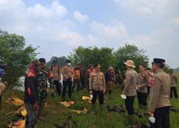 Kapolda Lampung Bersama Tim SAR Satuan Brimob Polda Lampung Pantau Kebakaran Hutan di Way Kambas