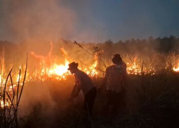 Quick Respon Satuan Brimob Polda Lampung Terjunkan Personel Tangani Karhutla di Taman Nasional Way Kambas
