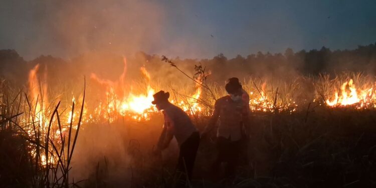 Quick Respon Satuan Brimob Polda Lampung Terjunkan Personel Tangani Karhutla di Taman Nasional Way Kambas