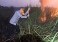 Titik Api Di Kawasan Way Kambas, Kapolres Lamtim Terjun Padamkan