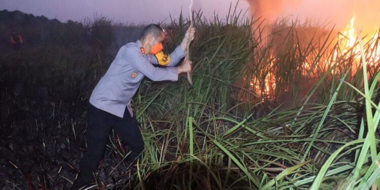 Titik Api Di Kawasan Way Kambas, Kapolres Lamtim Terjun Padamkan