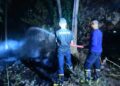 Waspada Karhutla, BPBD Pringsewu Himbau Warga Tak Buka Lahan dengan Cara Dibakar