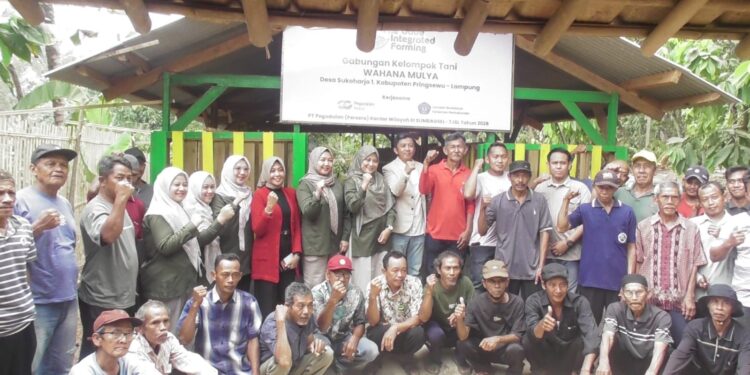 Masyarakat Desa Sukoharjo Apresiasi Sinergi Polinela dan PT Pegadaian dalam Pemberdayaan Petani Kakao