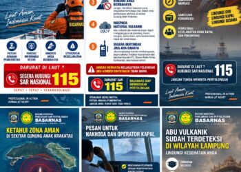 Dampak Erupsi Gunung Anak Krakatau Terhadap Operasional Penerbangan di Bandara Internasional Soekarno-Hatta