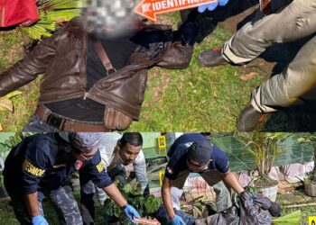 Polres Lampung Barat Ungkap Kasus Pembunuhan di Way Tenong, Pelaku Serahkan Diri
